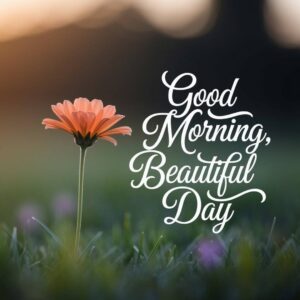 Good Morning Flower Quotes