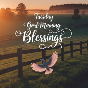 Tuesday Good Morning