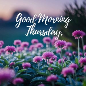 Good Morning Thursday Flowers
